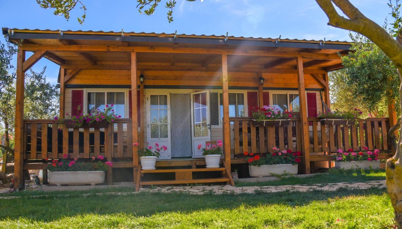 הוילה ביליצה House Matea מראה חיצוני תמונה